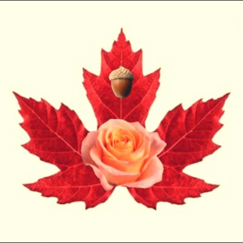 Meet your Posher, Leslie